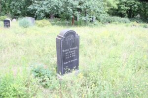 Friedhof Schönow Grab Strauch