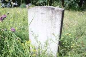 Friedhof Schönow Grabstein Boehr
