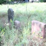 Grabsteinreihe Friedhof Schönow