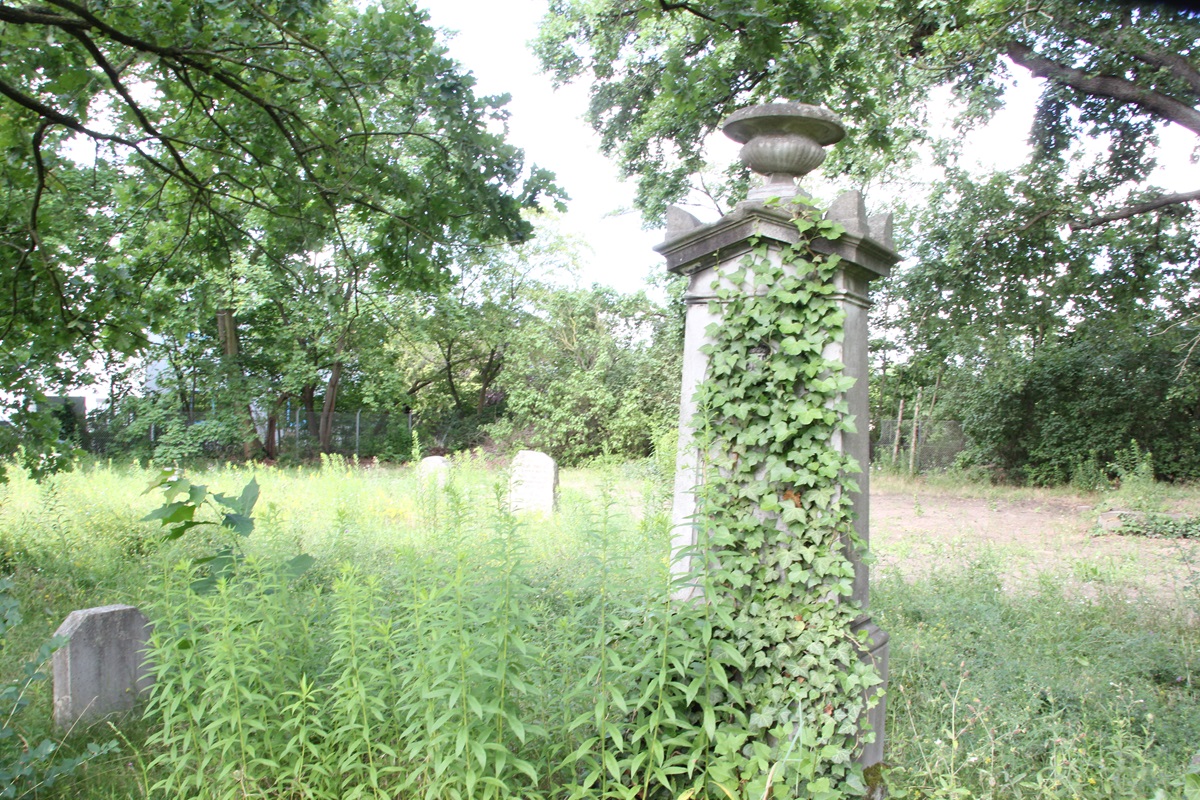 Schönower Friedhof am Teltower Damm ist in Wahrheit eine Grünfläche