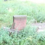 Verwildeter Friedhof Schönow