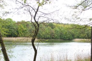 Grunewaldsee Hundestrand