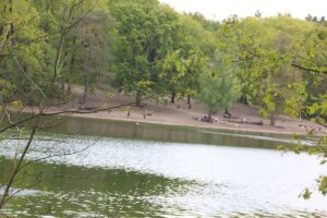 Hundebadestelle Grunewaldsee (2)