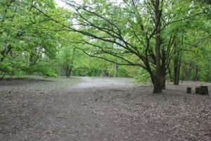 Plateau am nördlichen Ende Grunewaldsee