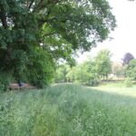 Sitzbank Rehwiese