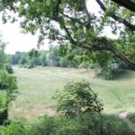Trampelpfad Rehwiese