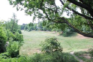 Trampelpfad Rehwiese