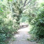 Weg Rehwiese