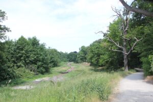 Weg entlang Rehwiese