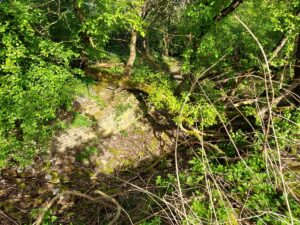 Kellergewölbe Ruine Gut Osdorf