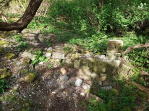 Steine der Ruine Gut Osdorf