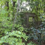 17 überwuchertes Grabmal Südwestfriedhof Stahnsdorf