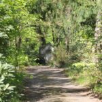23 Weg auf dem Südwestfriedhof Stahnsdorf