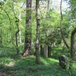 39 Wald Grabsteine Südwestfriedhof Stahnsdorf