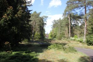 54 Friedhofskapelle von weitem Südwestfriedhof Stahnsdorf