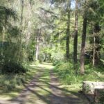 56 Waldweg Südwestfriedhof Stahnsdorf