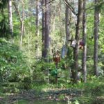 57 Vogelhäuser Südwestfriedhof Stahnsdorf
