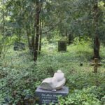 8 überwucherte Grabsteine Südwestfriedhof Stahnsdorf