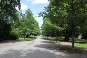 Stadtpark Steglitz Zentraler Weg