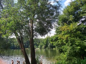 Teufelssee im Grunewald Berlin