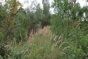 Galgenhheide Güterfelde Erdwall Seite