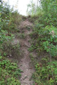 Galgenhheide Güterfelde Erdwallübergang