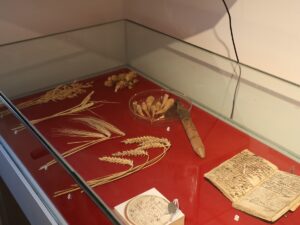 Heimatmuseum Teltow Getreidesorten