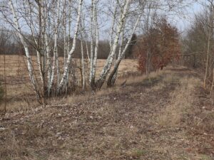 Schotter der Industriebahn