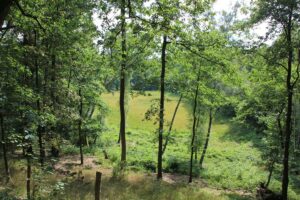 Barssee Grunewald