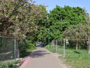 Ende Kirschblütenallee 2025