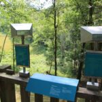 Infotafeln und Schauplätze Barssee Grunewald