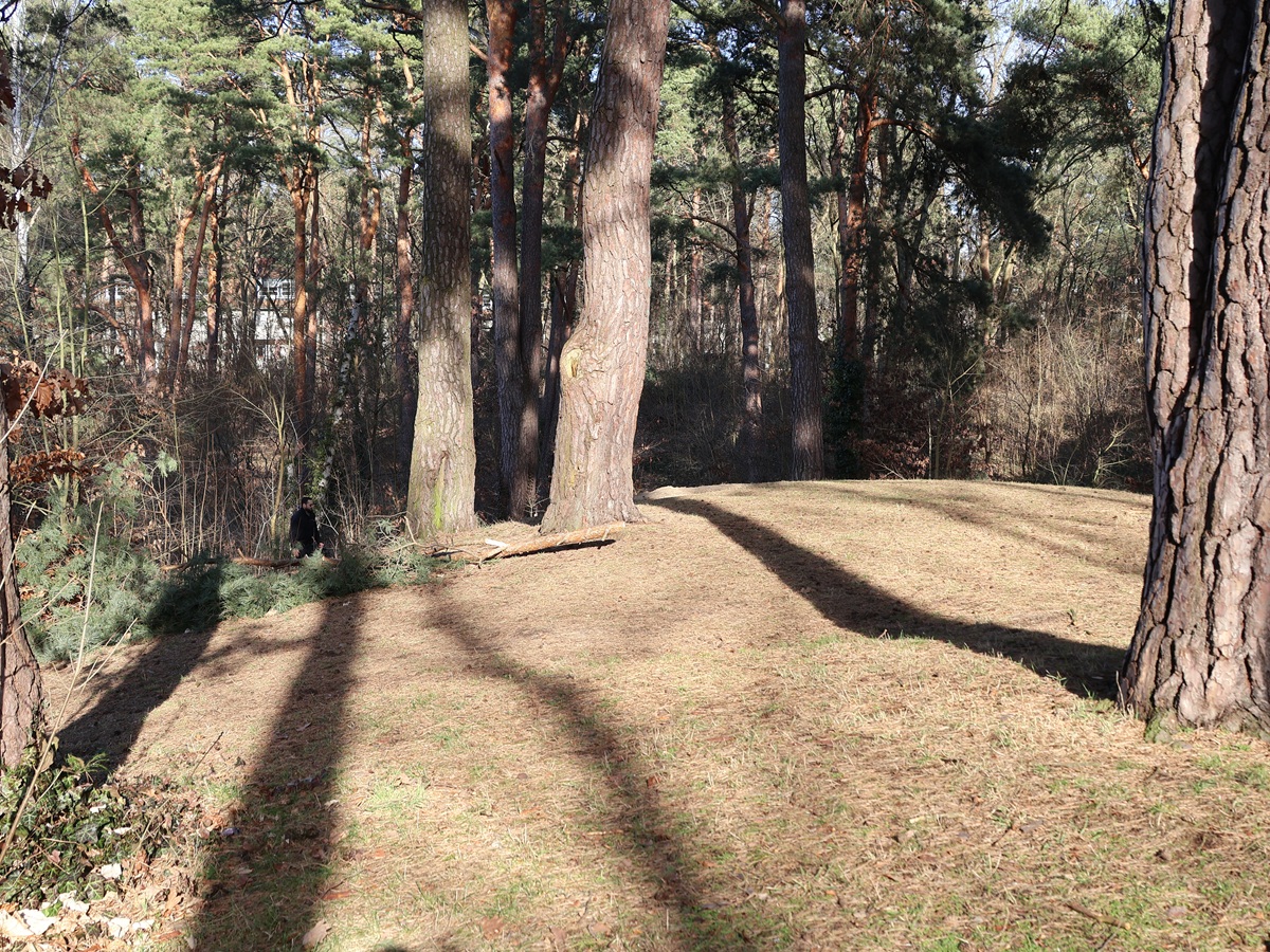 Anhöhe Vierlingspark Zehlendorf