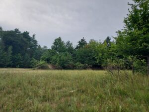 Düppler Forst Dreilinden Freifläche Wall