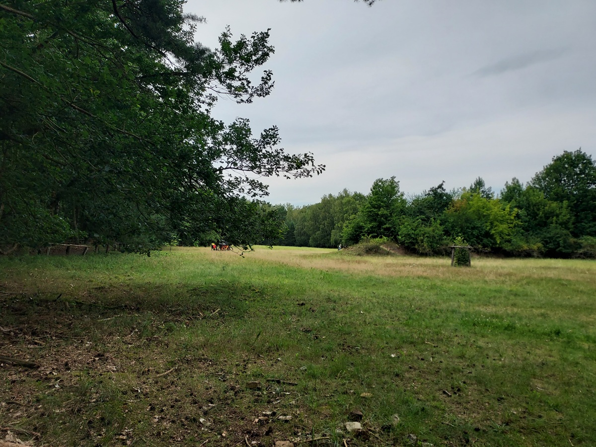 Düppler Forst Dreilinden Freifläche Wiese waldrand