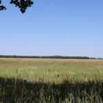 Felder Naturpark Nuthe-Nieplitz