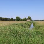 Graben Naturpark Nuthe-Nieplitz