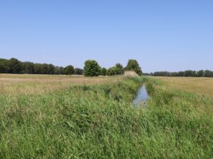 Graben Naturpark Nuthe-Nieplitz