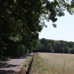 Naturpark Nuthe-Nieplitz Wanderweg
