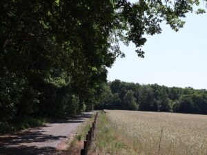 Naturpark Nuthe-Nieplitz Wanderweg