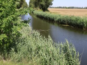 Nuthe Naturpark Nuthe-Nieplitz