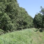Weg entlang des Grabens Naturpark Nuthe-Nieplitz
