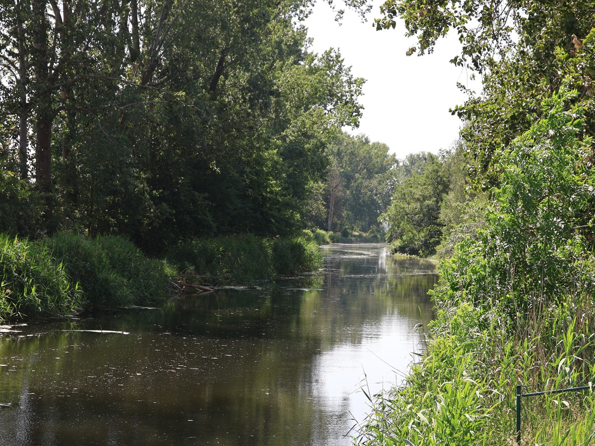 Historischer Weg: Furt über die Nuthe bei Saarmund