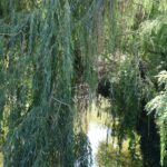 1 Nuthe Radweg Potsdam Anfang