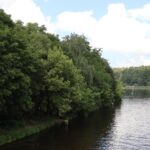Blick auf Bäkewiese Wannsee