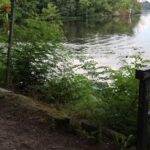 Uferweg Griebnitzsee Schäferwall