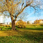 Kurfürstendamm ehemals Lunapark jetzt Friedenthalpark