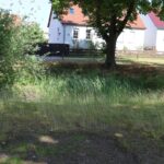 Dorfteich Philippsthal Nuthetal