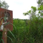 Spinne Industrie Lost Place Zehlendorf Rost