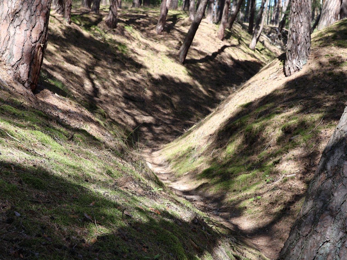 Fresdorfer Heide & der Windener Höhleneingang