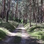 Fresdorfer Heide Feldweg